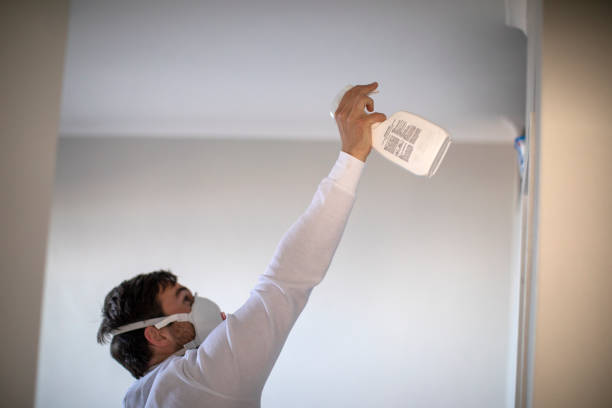Best Attic Mold Removal  in Spring Creek, NV