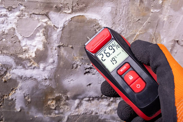 Home Mold Removal in Spring Creek, NV